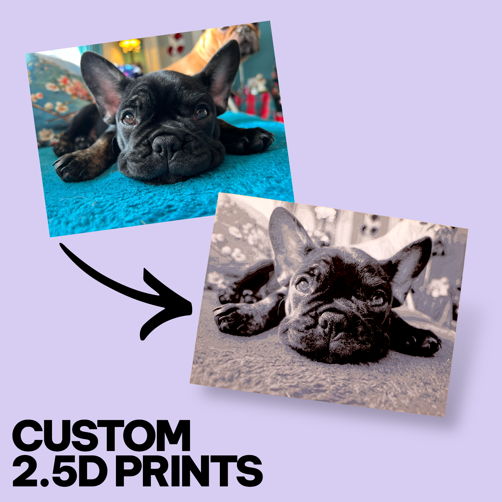 Custom Pet Photo "Paw-Trait" – Personalized 3D Textured Art Print & Display Stand