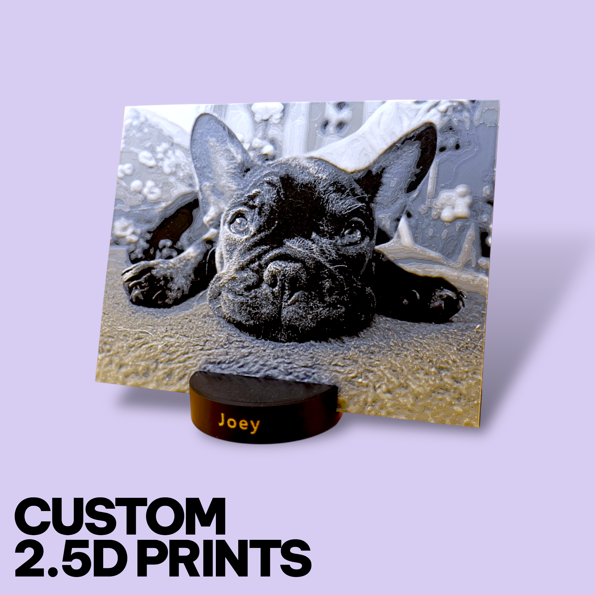 Custom Pet Photo "Paw-Trait" – Personalized 3D Textured Art Print & Display Stand