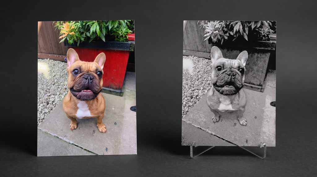 Custom Pet Photo "Paw-Trait" – Personalized 3D Textured Art Print & Display Stand