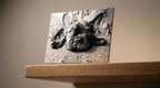 Custom Pet Photo "Paw-Trait" – Personalized 3D Textured Art Print & Display Stand