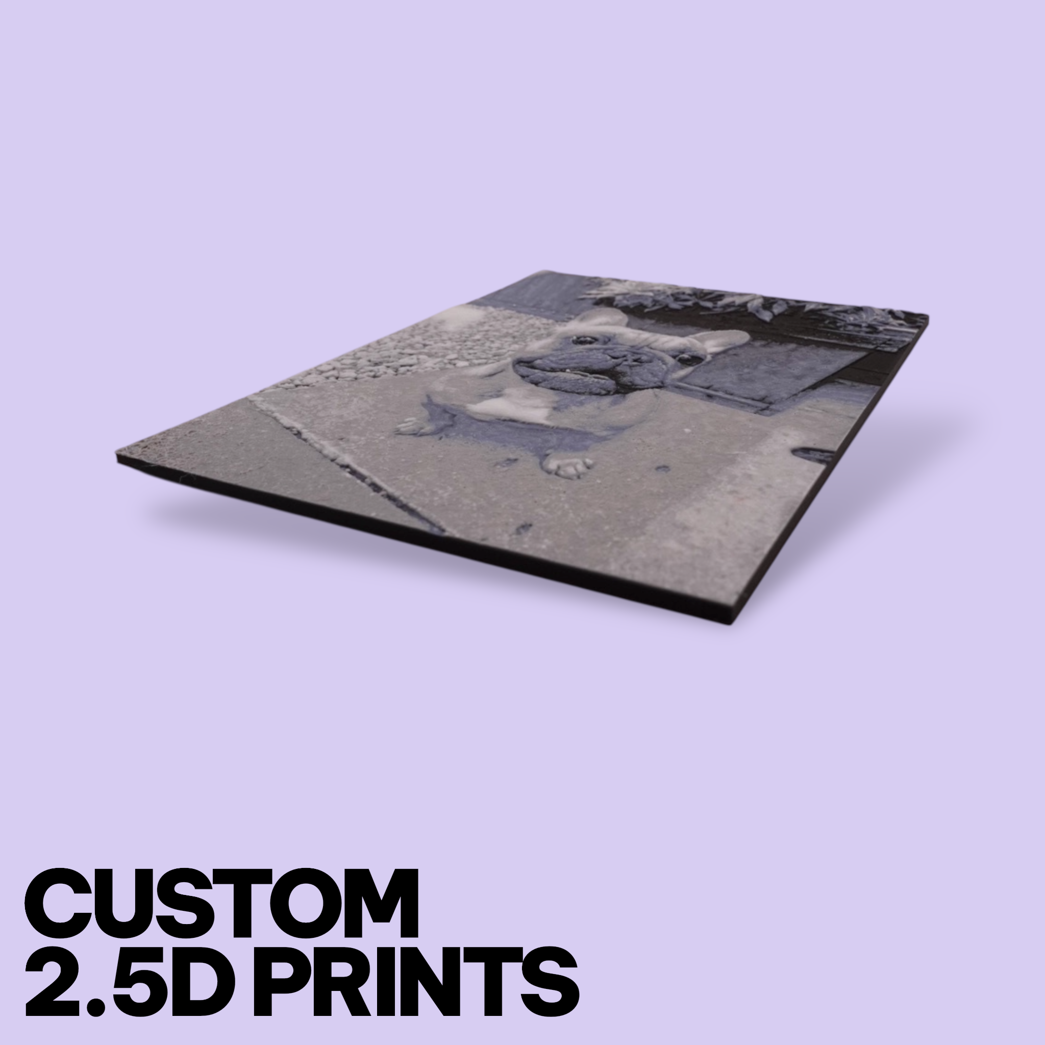 Custom Pet Photo "Paw-Trait" – Personalized 3D Textured Art Print & Display Stand