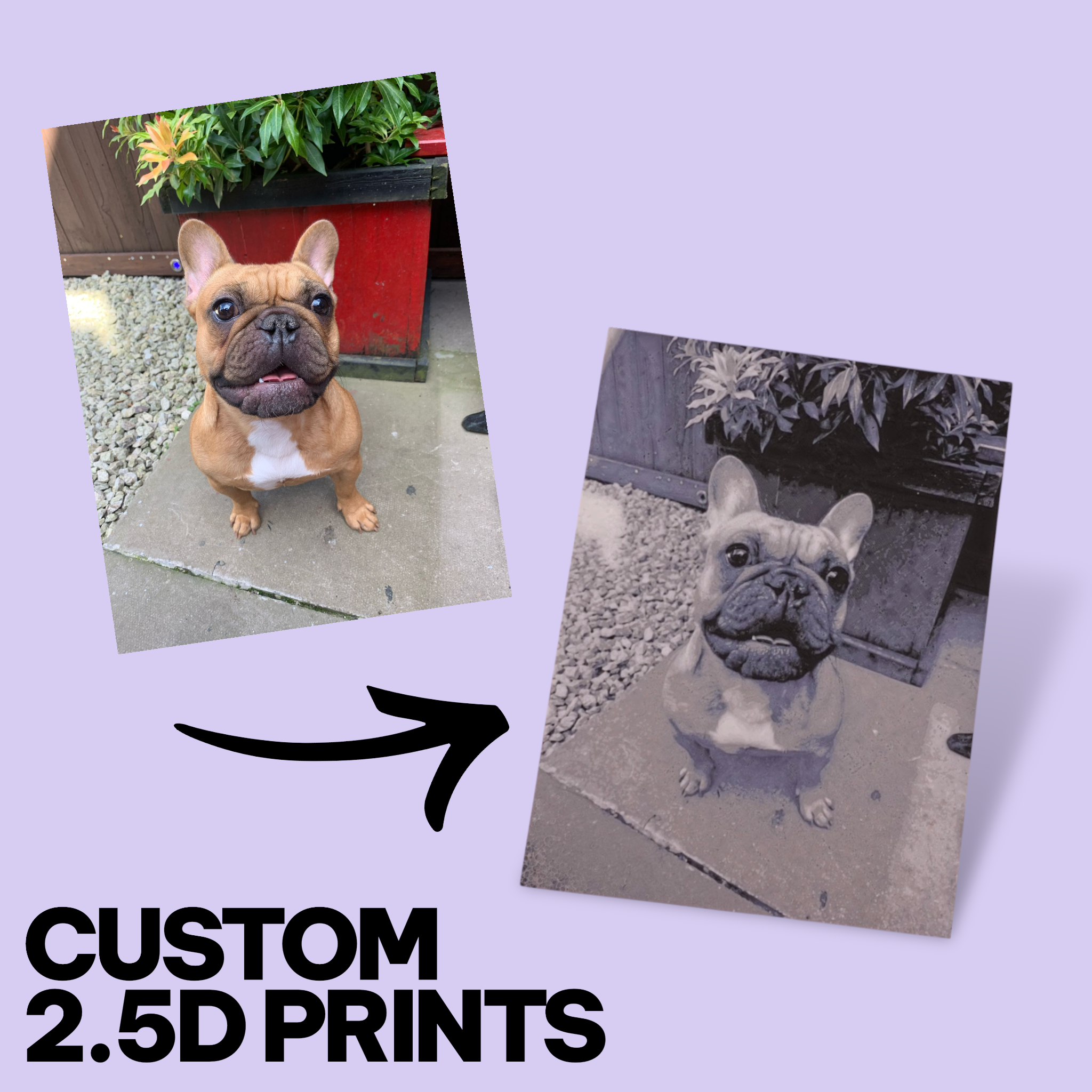 Custom Pet Photo "Paw-Trait" – Personalized 3D Textured Art Print & Display Stand
