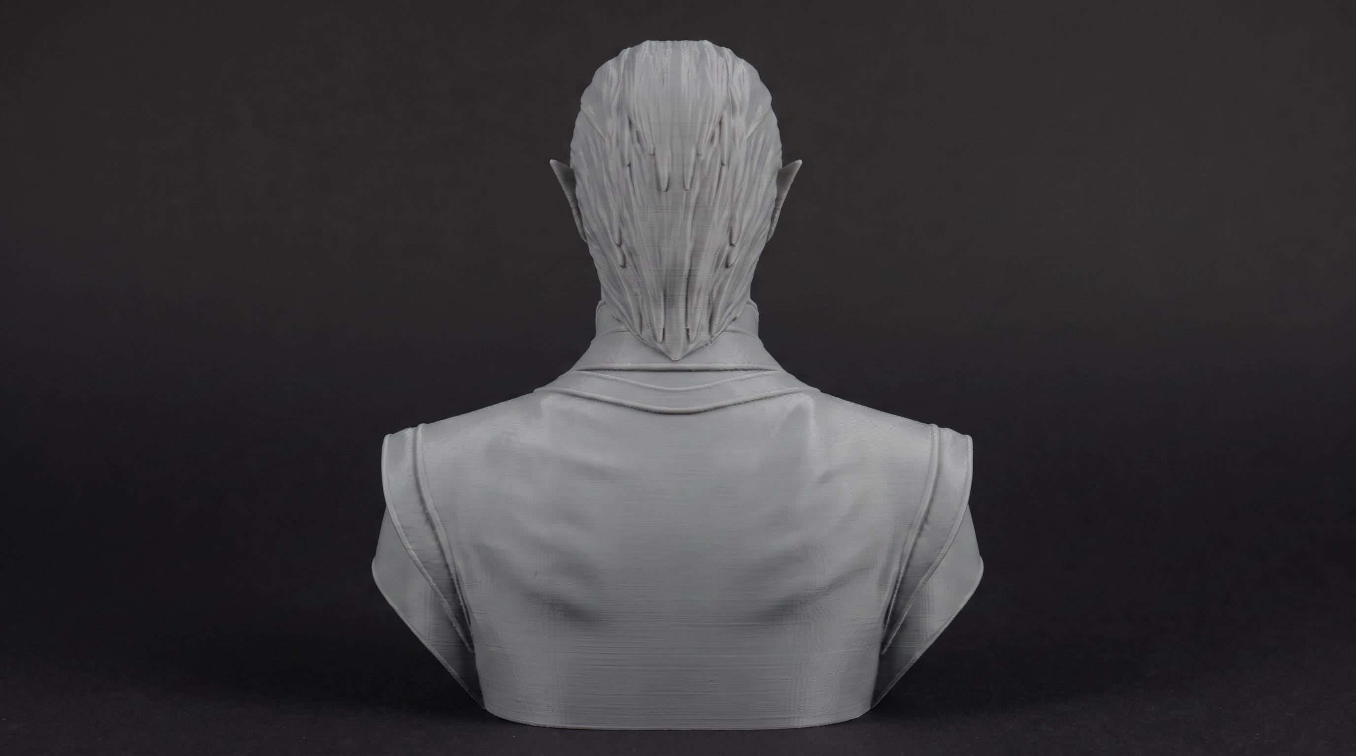 Elven Sorcerer Bust 110mm | Unpainted 3D Printed Fantasy Miniature | Hobby Painting Display Piece | Standard or Themed Plinth