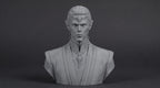 Elven Sorcerer Bust 110mm | Unpainted 3D Printed Fantasy Miniature | Hobby Painting Display Piece | Standard or Themed Plinth