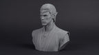 Elven Sorcerer Bust 110mm | Unpainted 3D Printed Fantasy Miniature | Hobby Painting Display Piece | Standard or Themed Plinth