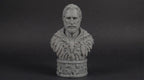 Druid Bust 110mm | Unpainted 3D Printed Fantasy Miniature | Hobby Painting Display Piece | Standard or Themed Plinth