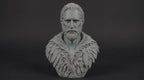 Druid Bust 110mm | Unpainted 3D Printed Fantasy Miniature | Hobby Painting Display Piece | Standard or Themed Plinth