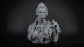 Female Orc Warlord Bust 110mm | Unpainted 3D Printed Fantasy Miniature | Hobby Painting Display Piece | Standard or Themed Plinth
